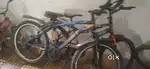 Gear BICYCLE