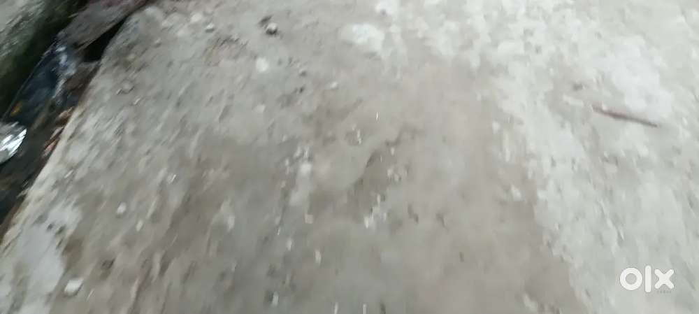 30gaj ka khali plot bahlolpur noida sector 63 me