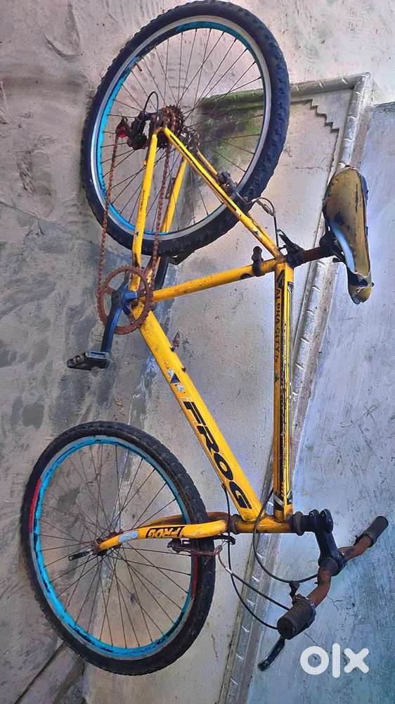 FROG cycle