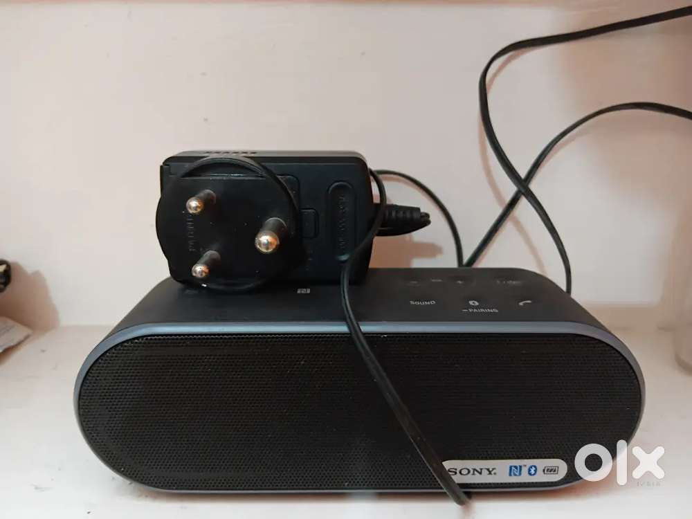 Portable audio system