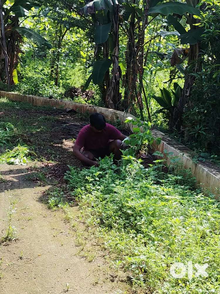 So beautiful place and reasonable price