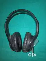 Headphone zebstar