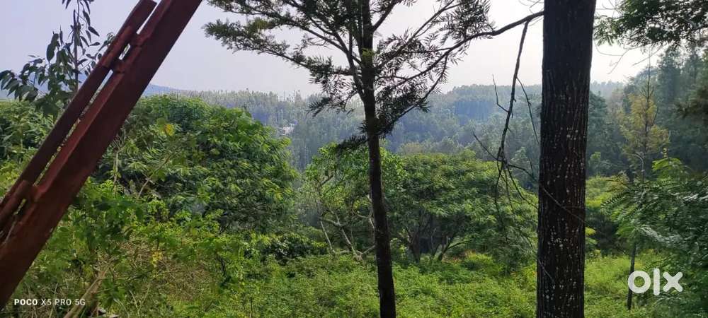 5 ACRES ON ROAD PROPERTY FOR SALE AT YERCAUD HILLS,  NEAR TO LAKE