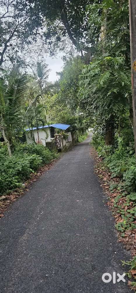 35 cent of land near kovalam beach and vizhinjam port