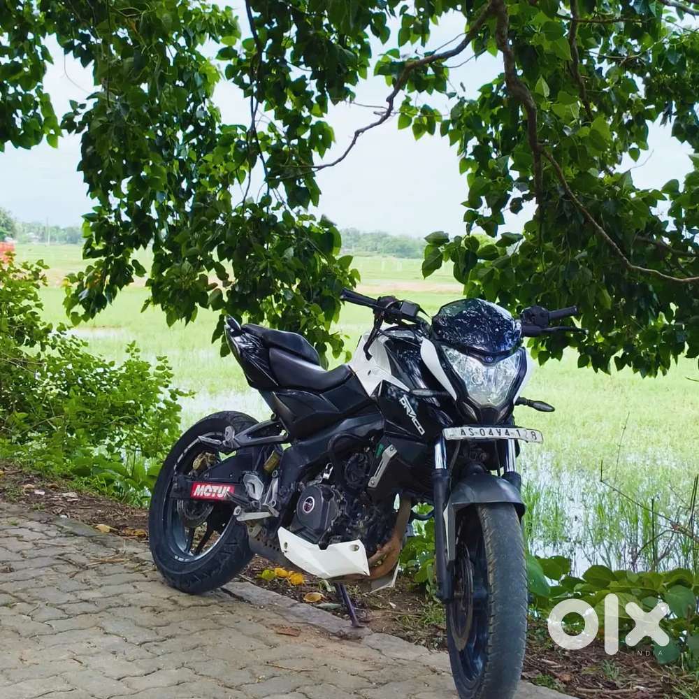 Pulsar NS200 vs4
