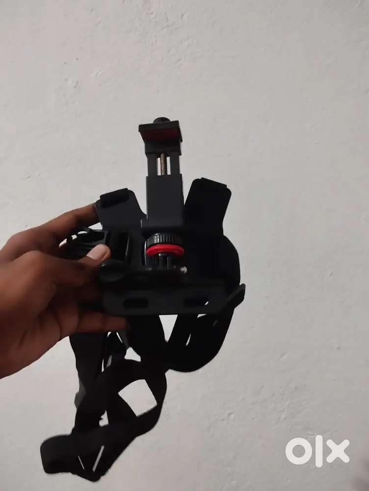 Chest mount