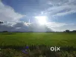 4 kotha mati (1 kothat 12 lakh ke lagibo)