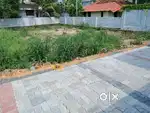 4.600 cent residential plot for sale jatanthi road maradu