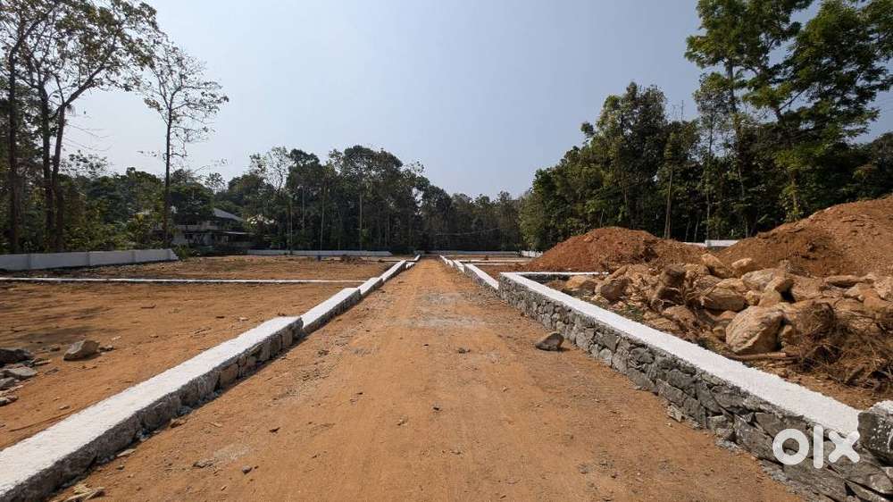 Aluva–Munnar SH Side  5–10 Cent Developed Plots  ₹3L Down  Free Reg