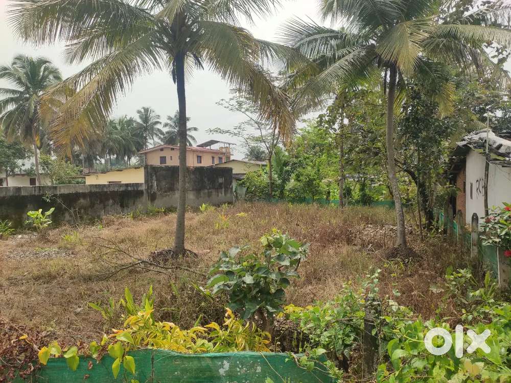 Amount problem Emergency Auto mobile shop opening