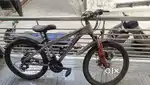 Fat bycycle