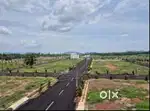 PULIMAMIDI PLOTS