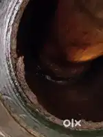 COLD Pressed oil extraction machine
