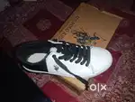 New seal pack US Polo Sneakers
