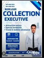 Data collection executive male candidate requirement