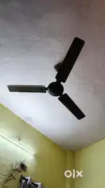 Bajaj fan best quality limited time offer 8 months old
