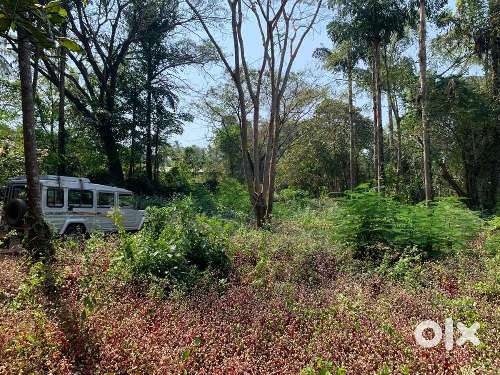 Land for sale at  Tirur Town, Near Samuchayam , Malappuram (RF)