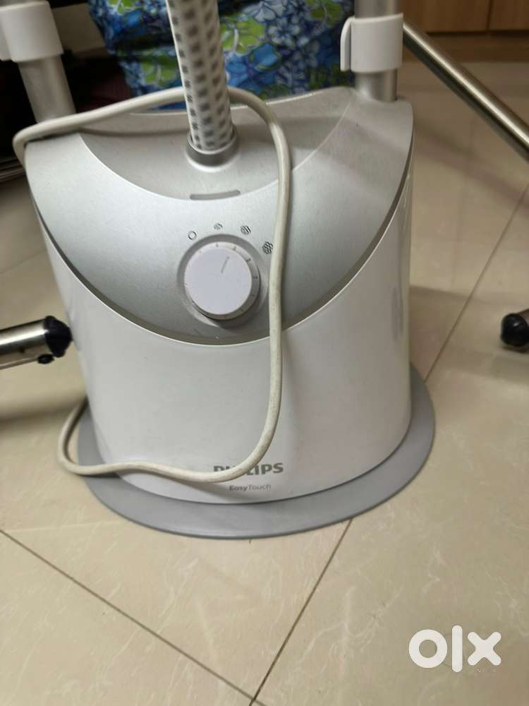 Steam iron with stand