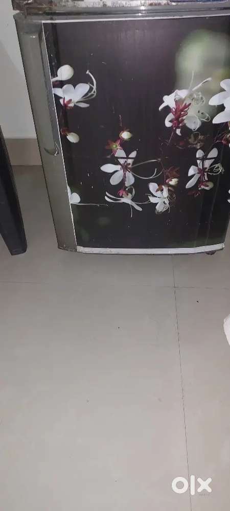 Haier Freeze