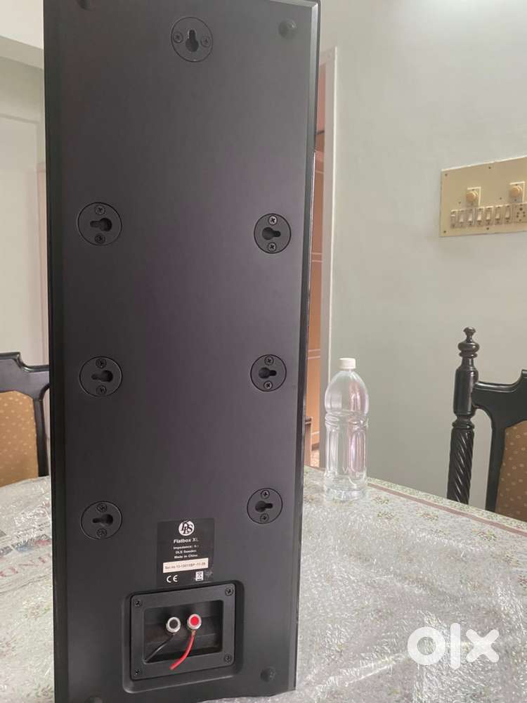 Speaker Wall Mounting DLS