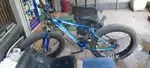 Torinobike for sale