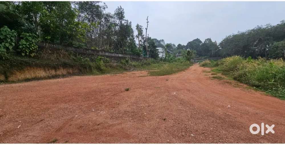 House plot for sale nearest chanjody changanacherry