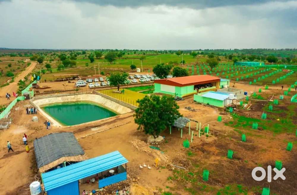 Its a Agricultural land with small investment and big returns