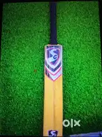 Best bat Kashmir willow bat