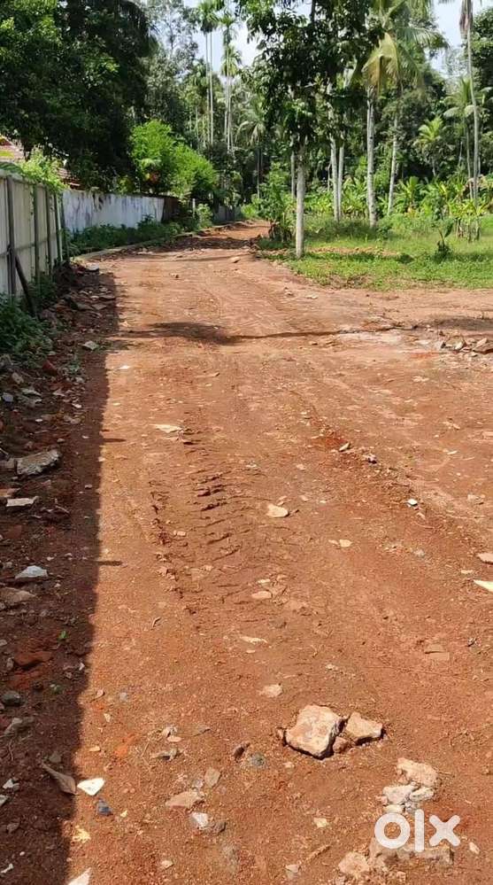 East Facing Residential Plot for Sale in Ala with all Amenities Nearby