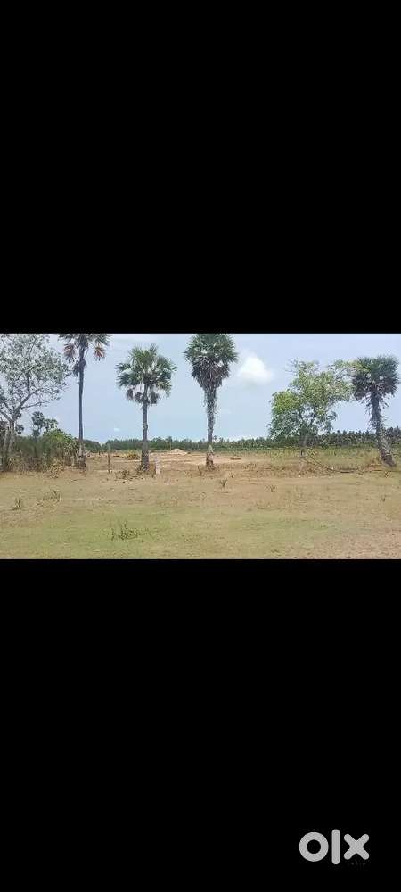 Beside lakshmaneswaram temple land, Narasapuram