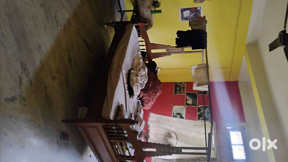 Need roommates