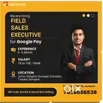 Sales and Marketing at Net Ambit (Gpay for business)