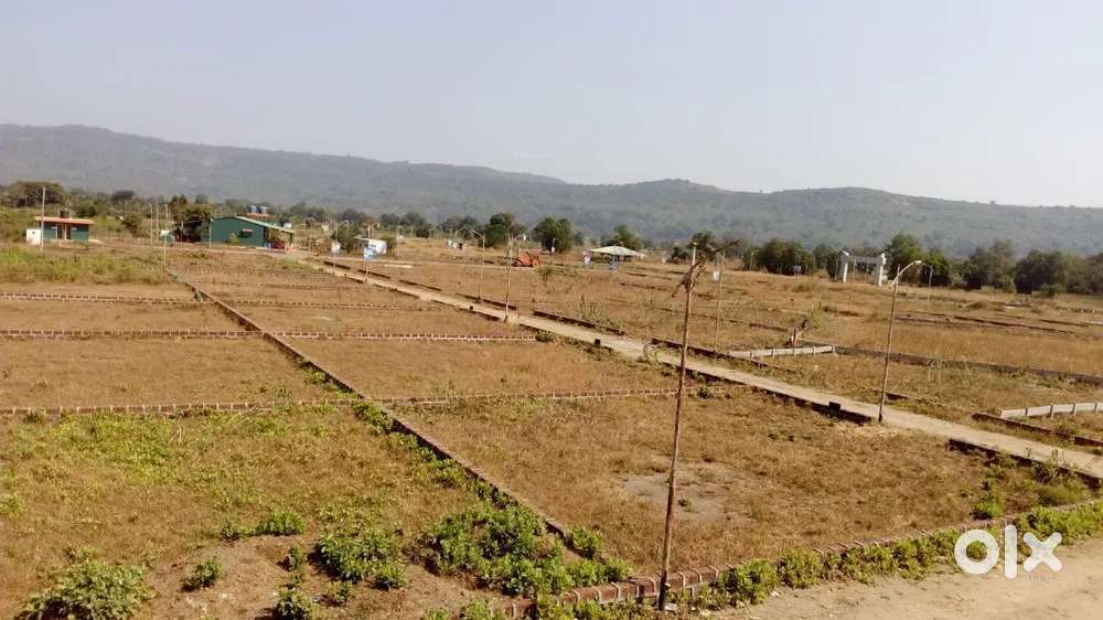 Bhagalpur,banka, Sultanganj area is my cover plot