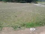 Land sales rangia village mati