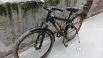 Gear bicycle