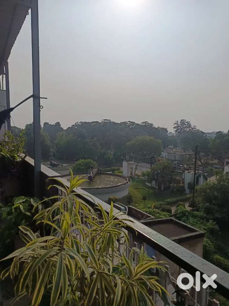 Fully independent need for roomate