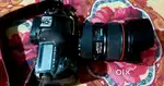 Canon EOS 5D Mark IV (EF 24-105mm f/4L IS II USM Kit Lens)
