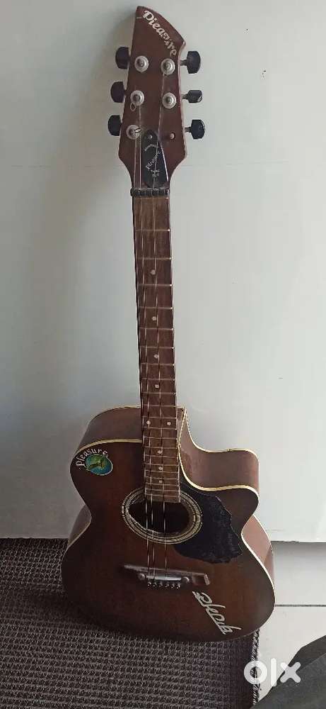 Guitar pleasure