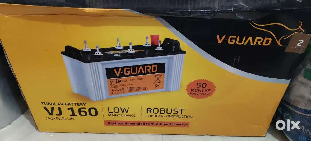 Inverter battery