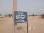 Free hold plot
