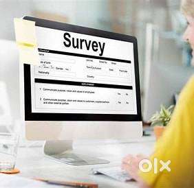 Field Work Support in Delhi