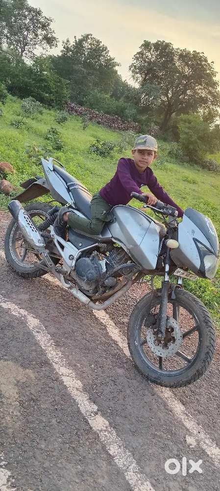 Pulsar 150 gray colour