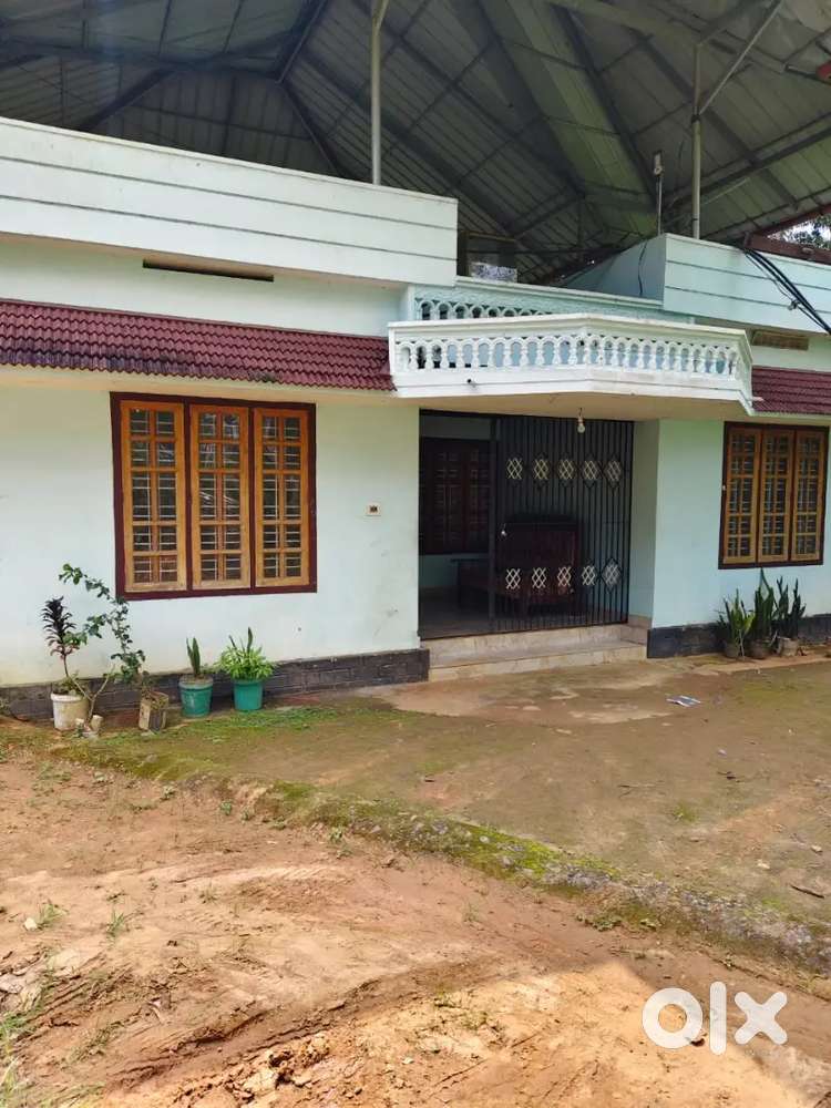 3bhk independent house for rent in Chilanjichal.