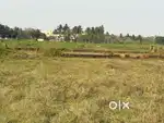 Plot sale patrapada
