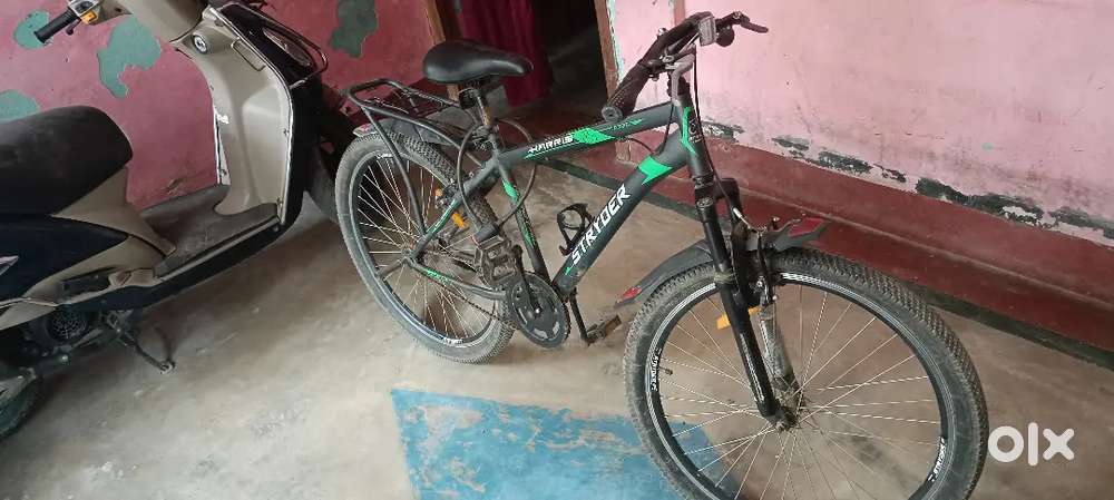 Stryder bicycle