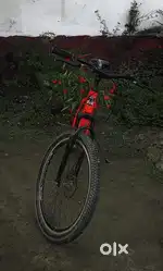 Lachit cycle