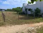 Land for sale in Dindigul