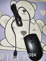 Computer Mouse