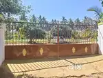 Coconut farm Land for sale