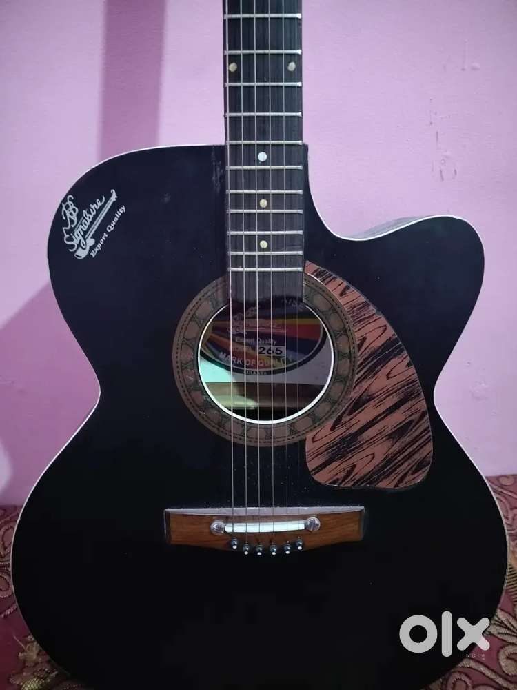 Signature Guitar